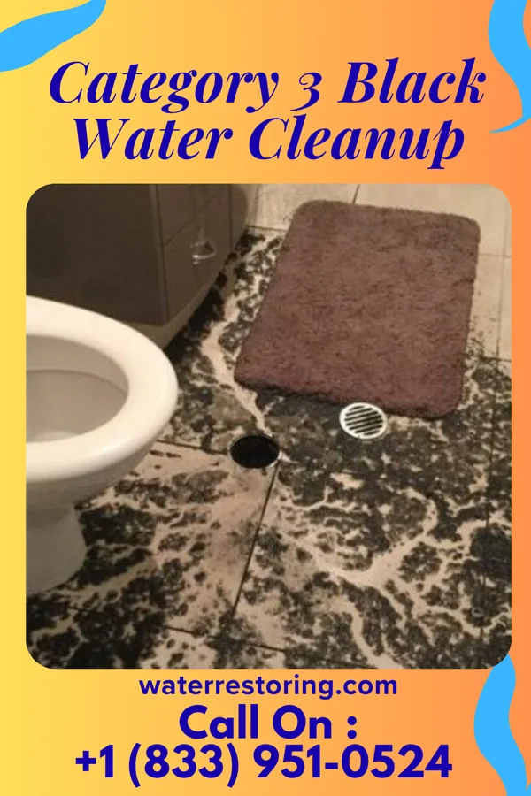 Category 3 Black Water Cleanup in Randolph, IA