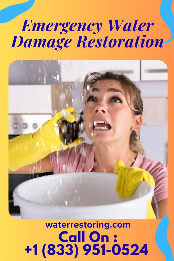 Emergency Water Damage Restoration in Randolph, IA