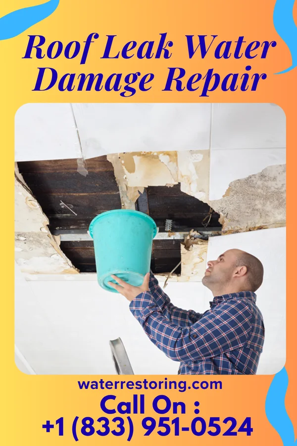 Roof Leak Water Damage Repair in Randolph, IA