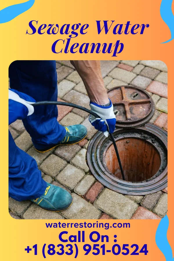 Sewage Water Cleanup in Randolph, IA